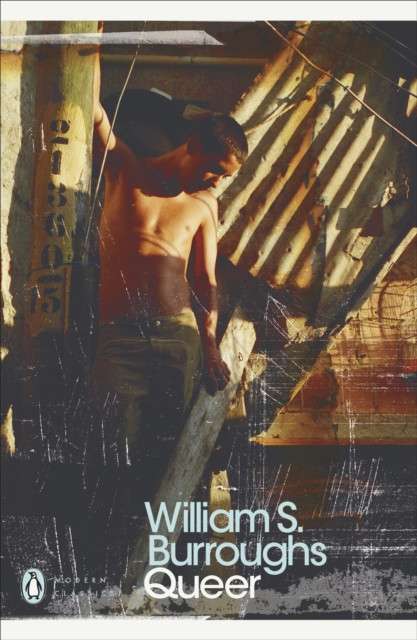 Queer : 25th Anniversary Edition by William S. Burroughs (Author) , Oliver Harris (Introduction By)