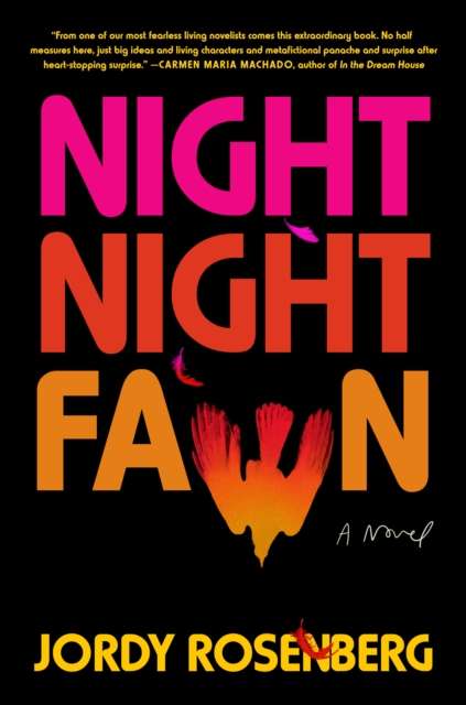 Night Night Fawn : A Novel by Jordy Rosenberg