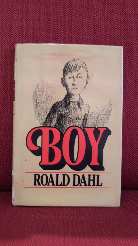 Boy by Roald Dahl