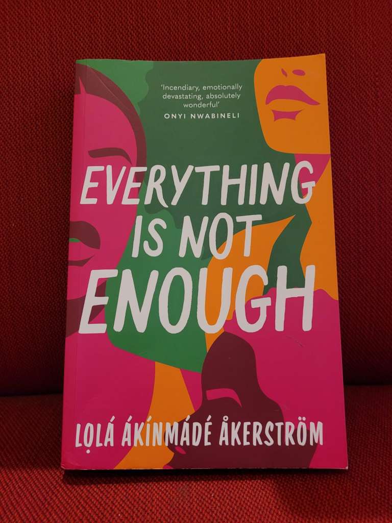 Everything is Not Enough by Lola Akinmade Akerstrom