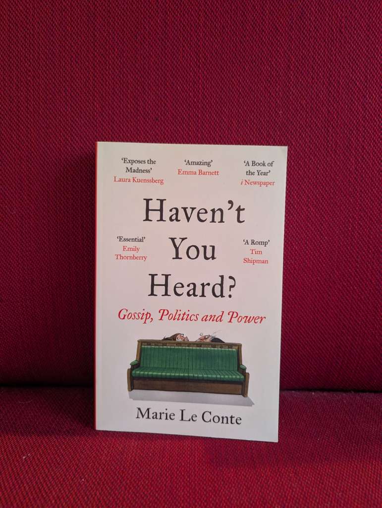 Haven't You Heard? Gossip, Politics and Power by Marie Le Conte