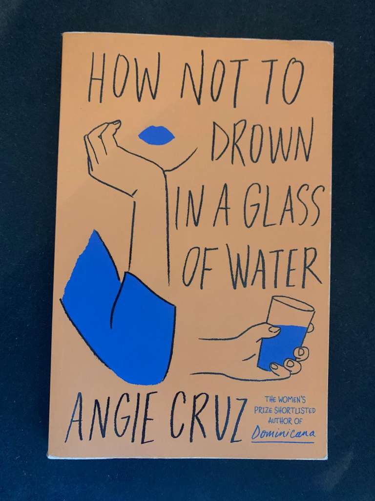 How Not to Drown in a Glass of Water by Angie Cruz