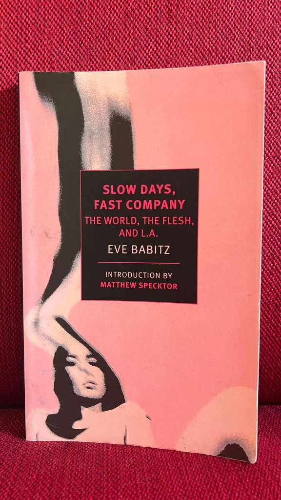 Slow days, fast company by Eve Babitz