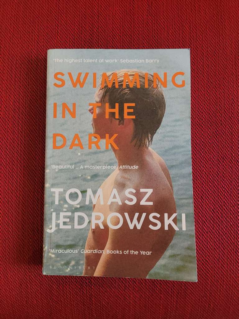 Swimming in the Dark by Tomasz Jedrowski