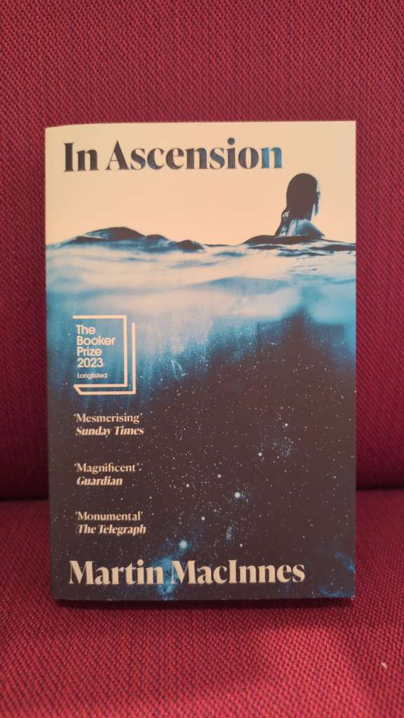 In Ascension by Martin MacInnes