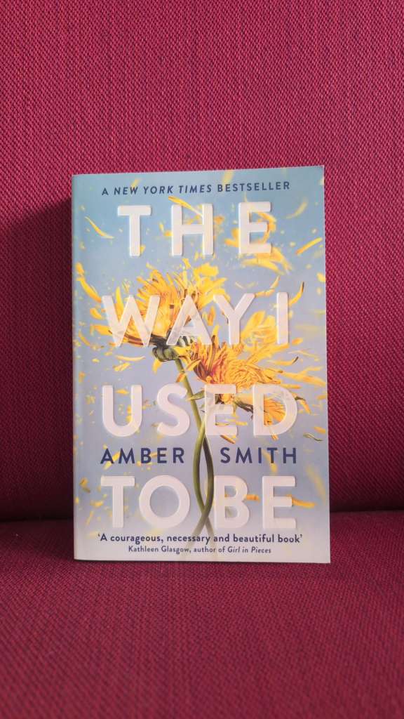 The Way I Used to Be by Amber Smith