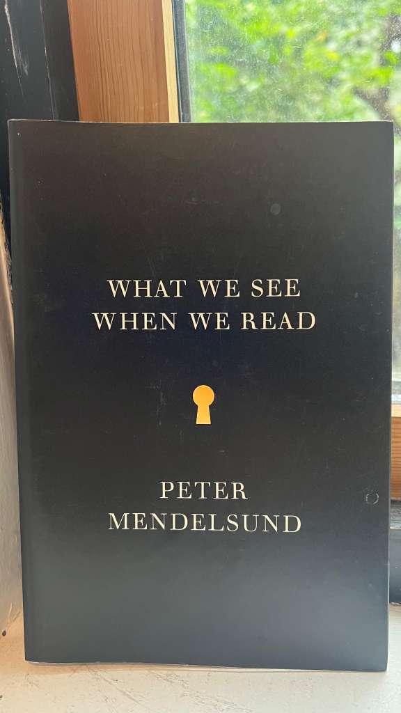 What We See When We Read by Peter Mendelsund