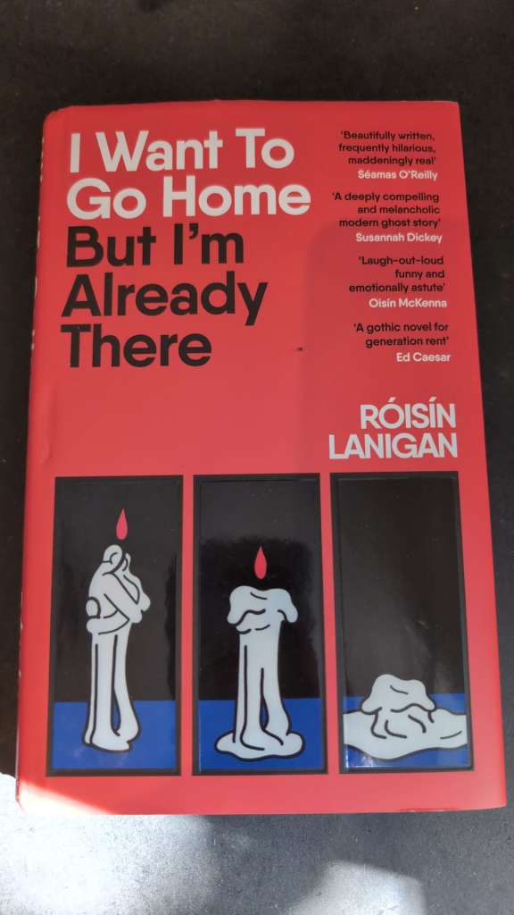 I Want To Go Home But I'm Already There by Roisin Lanigan (Hardcover)