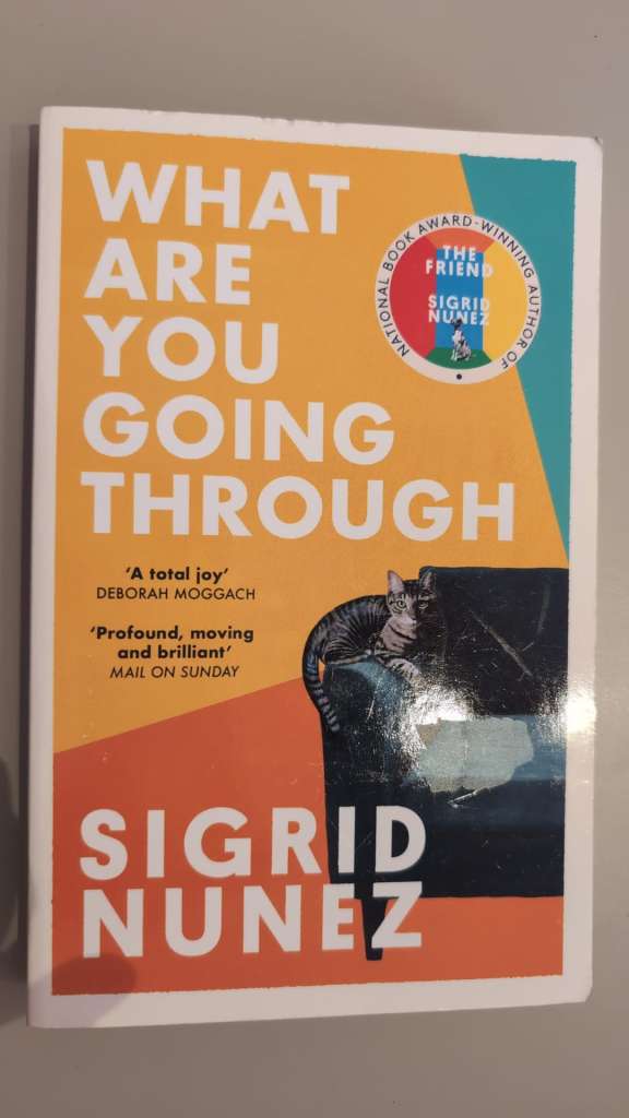 What Are You Going Through : Now a Pedro Almodovar film - THE ROOM NEXT DOOR by Sigrid Nunez