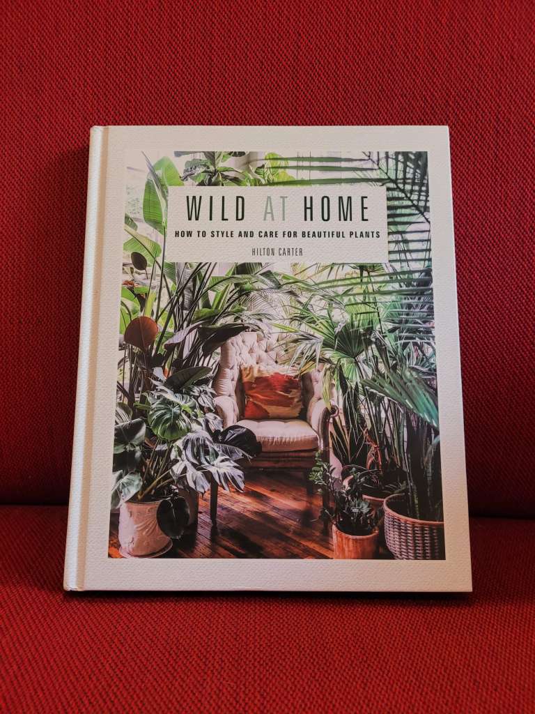 Wild at Home : How to Style and Care for Beautiful Plants by Hilton Carter