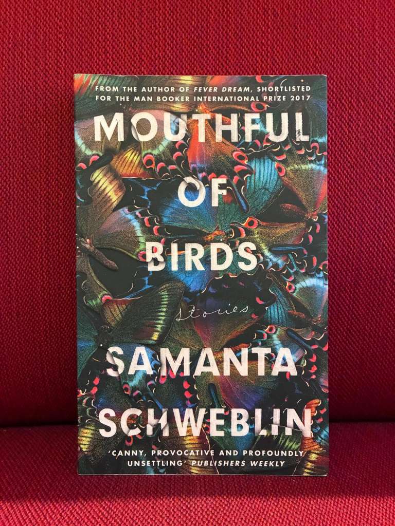 Mouthful of Birds by Samanta Schweblin