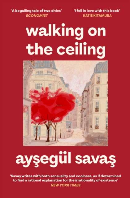Walking on the Ceiling by Aysegul Savas