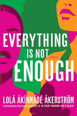 Everything is Not Enough paperback by Lola Akinmade Akerstrom