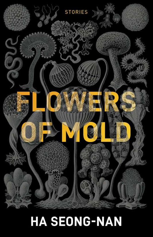 Flowers Of Mold & Other Stories by Seong-nan Ha