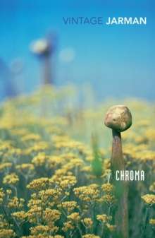 Chroma : A Book of Colour - June '93 by Derek Jarman (Author) , Ali Smith (Introduction By)