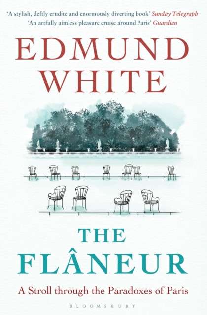The Flaneur by Edmund White