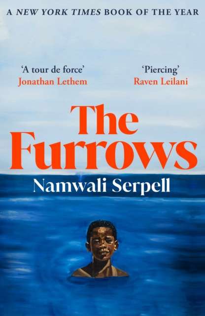 The Furrows by Namwali Serpell