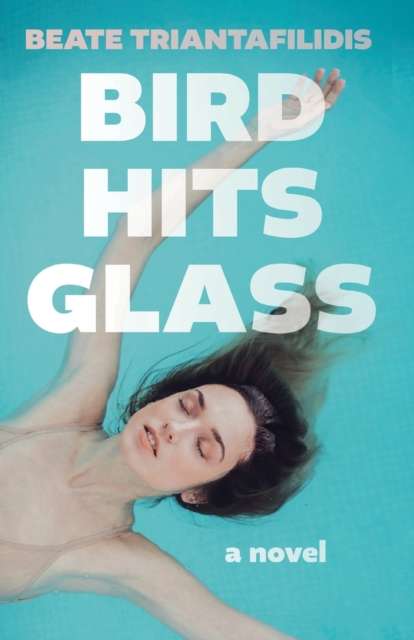 Bird Hits Glass by Beate Triantafilidis