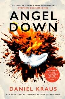 Angel Down by Daniel Kraus