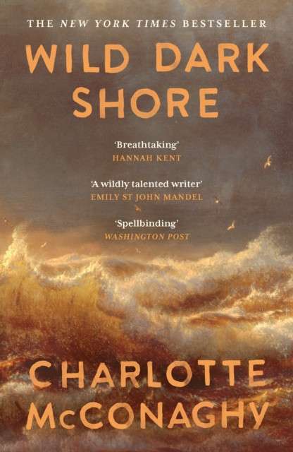 Wild Dark Shore by Charlotte McConaghy