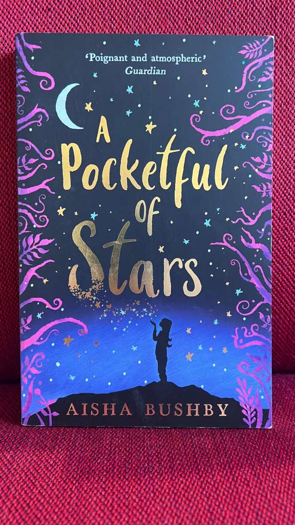 A Pocketful of Stars by Aisha Bushby