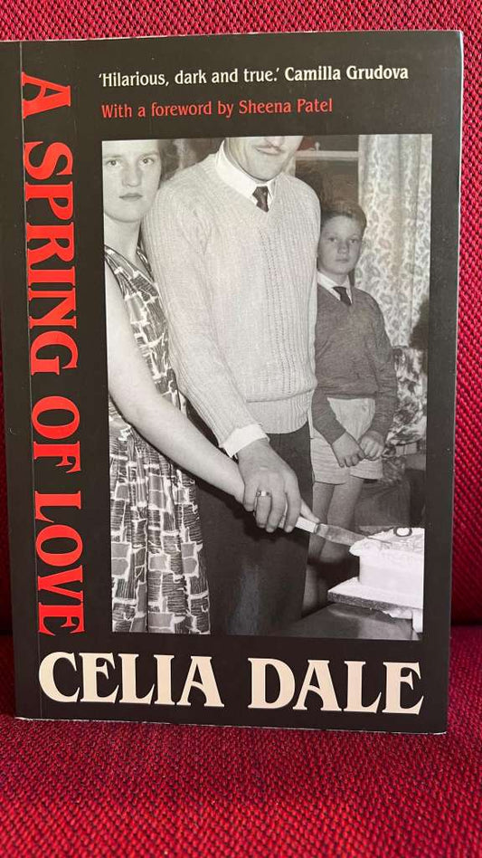 A Spring of Love by Celia Dale