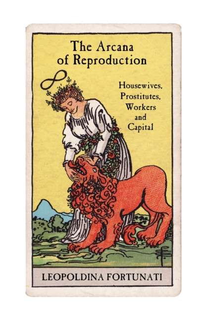 The Arcana of Reproduction : Housewives, Prostitutes, Workers and Capital by Leopoldina Fortunati
