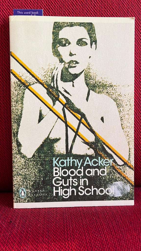 Blood and Guts in High School by Kathy Acker