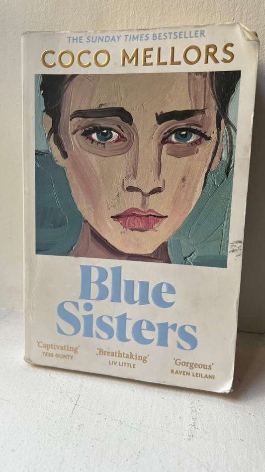 Blue Sisters by Coco Mellors