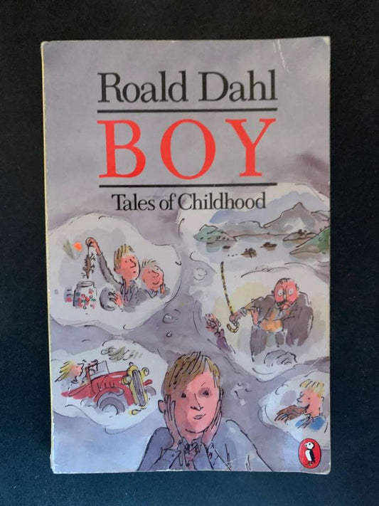 Boy by Roald Dahl