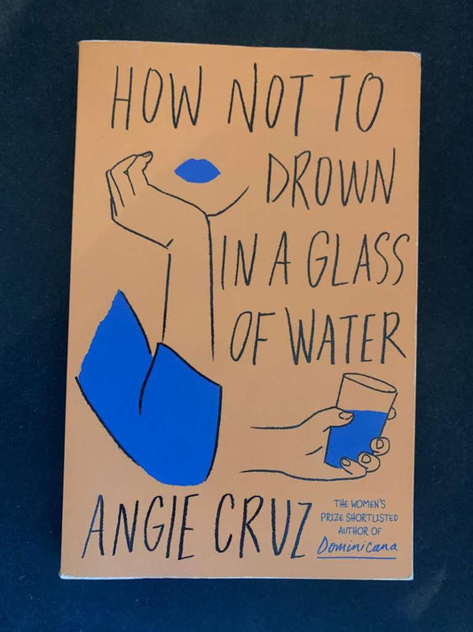How Not to Drown in a Glass of Water by Angie Cruz