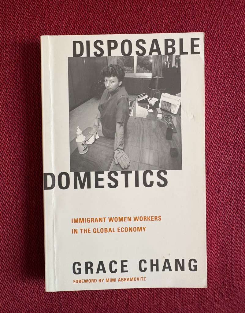 Disposable Domestics : Immigrant Workers in the Global Economy by Grace Chang