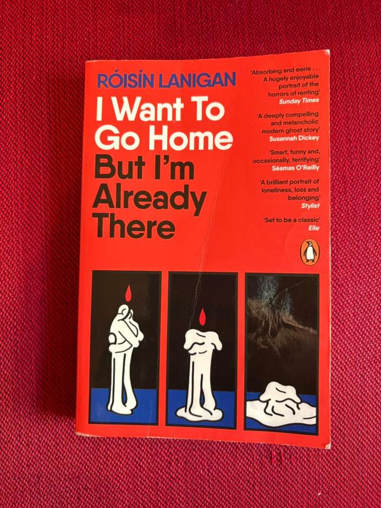 I Want To Go Home But I'm Already There by Roisin Lanigan