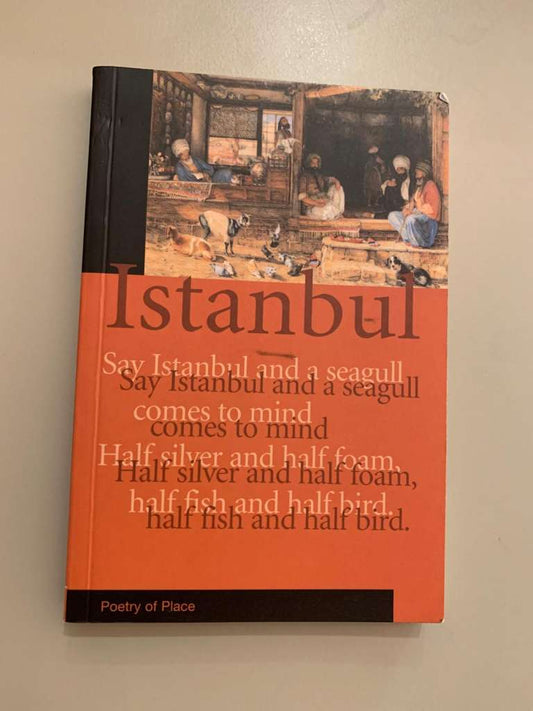 Istanbul (Poetry of Place) by Ates Orga