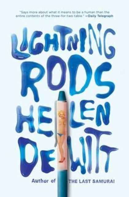 Lightning Rods by Helen DeWitt