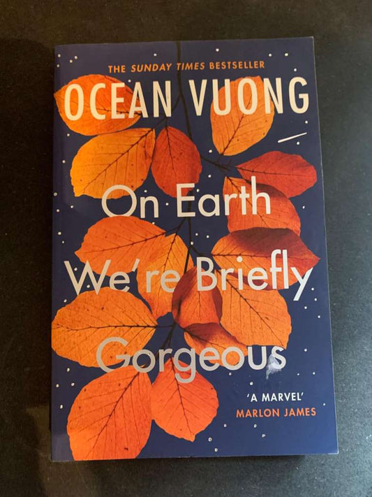 On Earth We're Briefly Gorgeous by Ocean Vuong