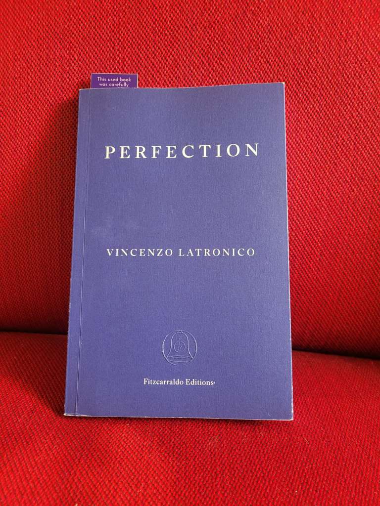 Perfection by Vincenzo Latronico