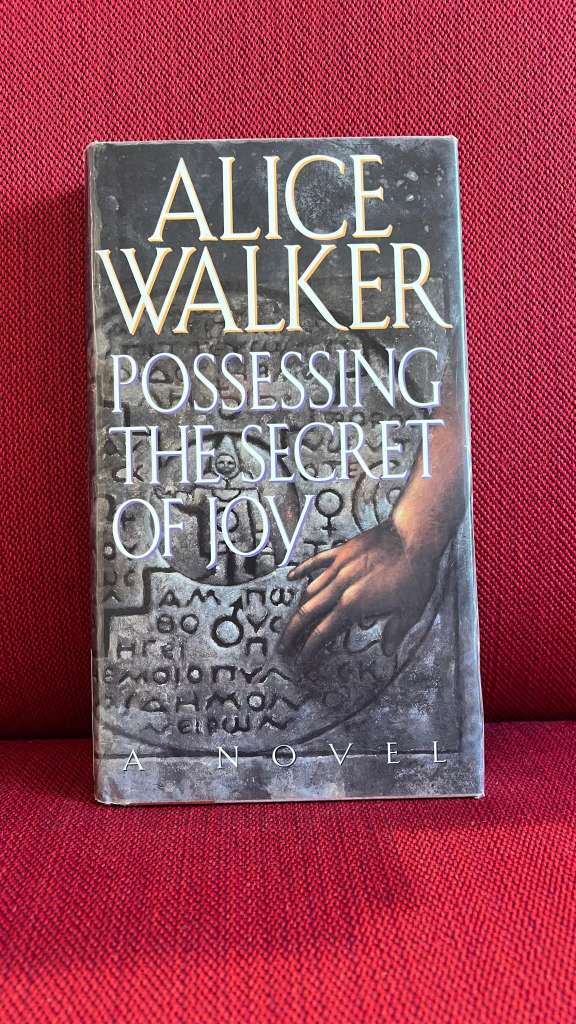 Possessing The Secret Of Joy by Alice Walker
