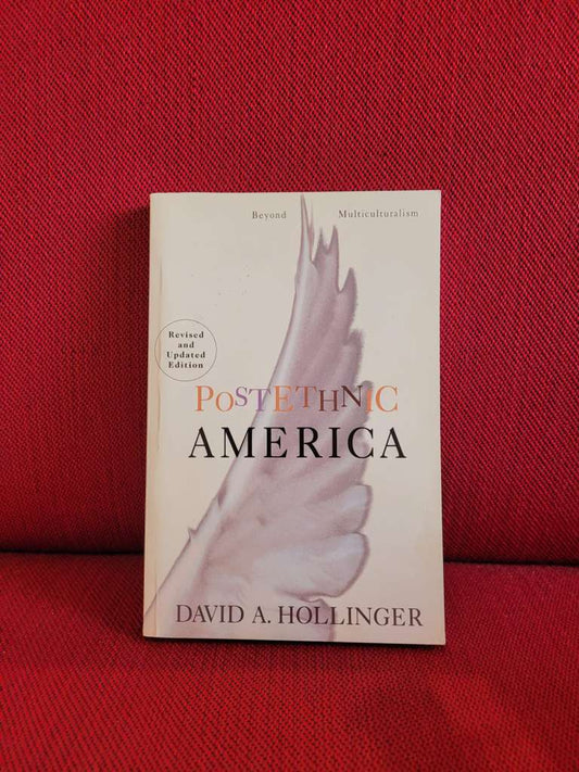 Postethnic America : Beyond Multiculturalism by David Hollinger