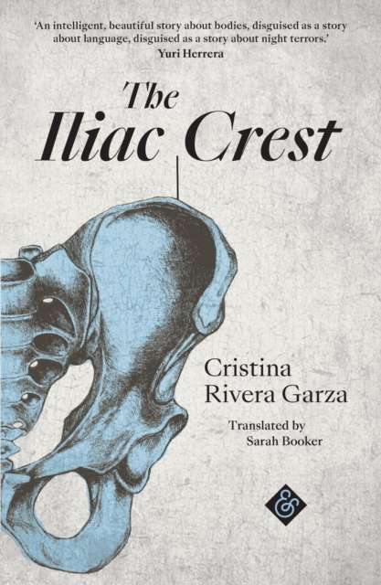 The Iliac Crest by Cristina Rivera-Garza