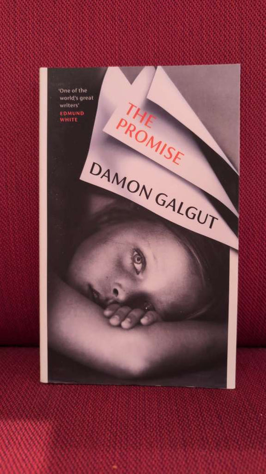 The Promise by Damon Galgut