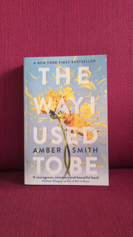 The Way I Used to Be by Amber Smith