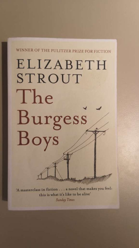 The Burgess Boys -by Elizabeth Strout