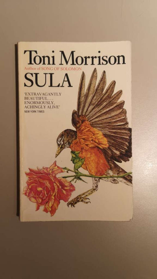 Sula by Toni Morrison