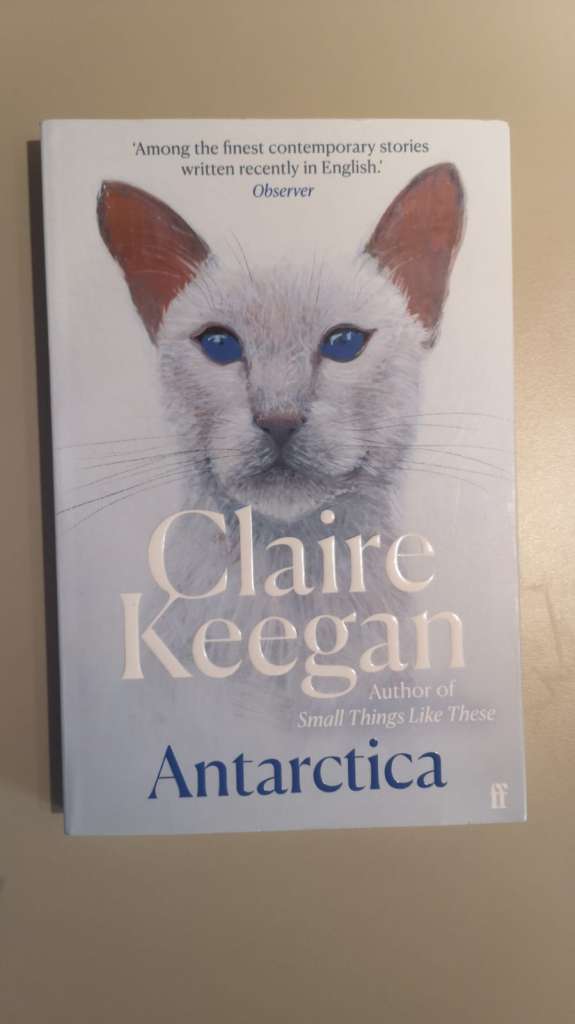 Antarctica by Claire Keegan