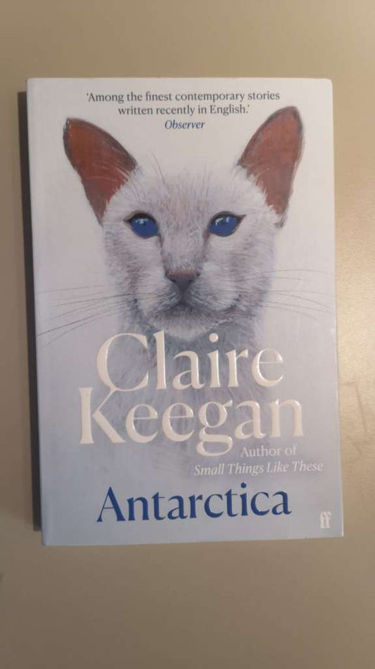 Antarctica by Claire Keegan