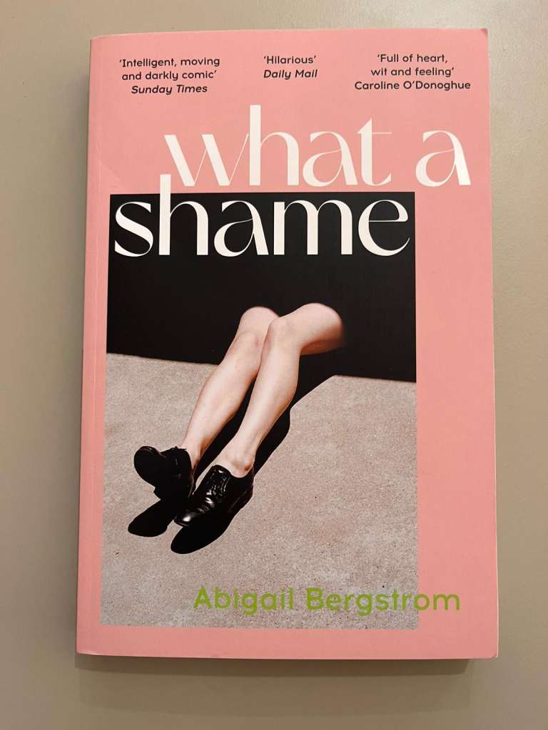 What a Shame by Abigail Bergstrom