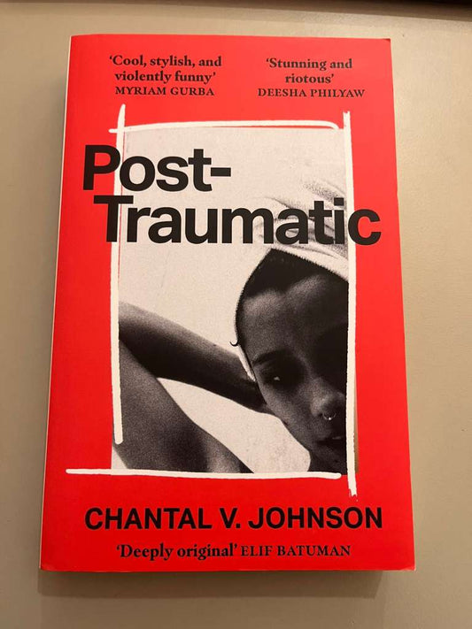 Post-Traumatic : Utterly compelling literary fiction about survival, hope and second chances