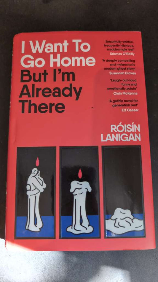 I Want To Go Home But I'm Already There by Roisin Lanigan (Hardcover)