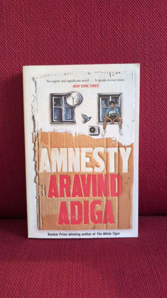 Amnesty by Aravind Adiga